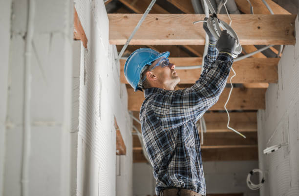 Best Generator Installation Services  in Bayou Lourse, LA